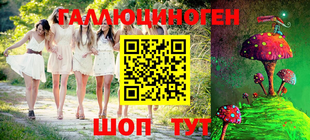 Галлюциногенные грибы Psilocybine cubensis  Псилоцибиновые грибы Psilocybe  Каменка  Вход с VPN 