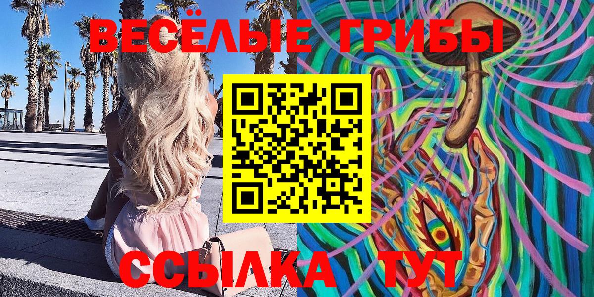 Псилоцибиновые грибы Psilocybe Каменка